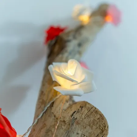 Apartamento In Centro Citta',